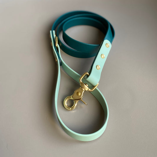 Merlin Colourblock BioThane® Lead