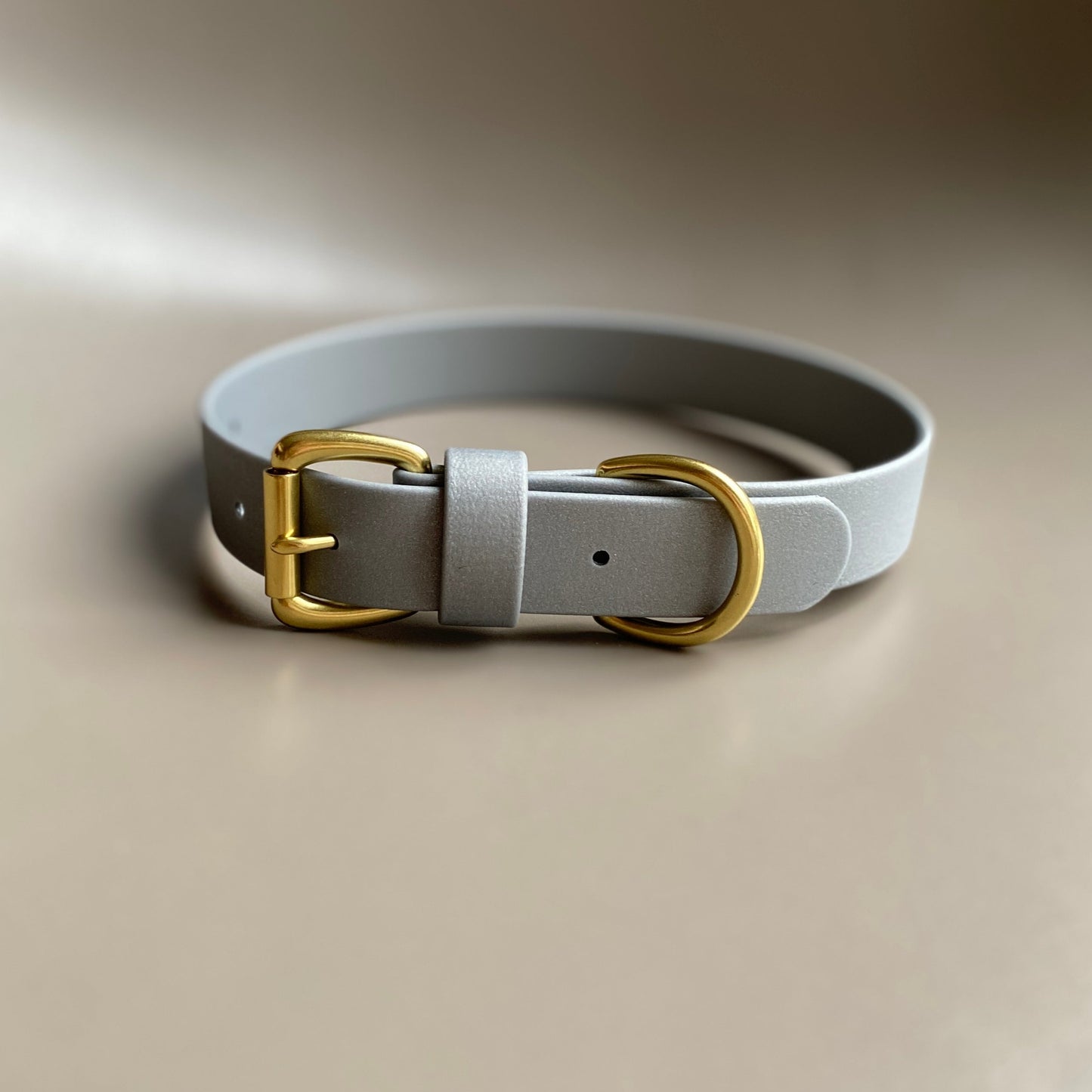 Silver BioThane® Collar