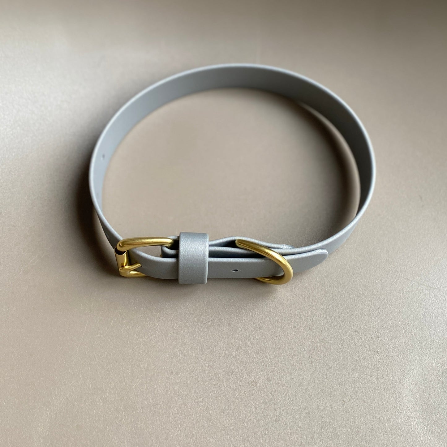 Silver BioThane® Collar