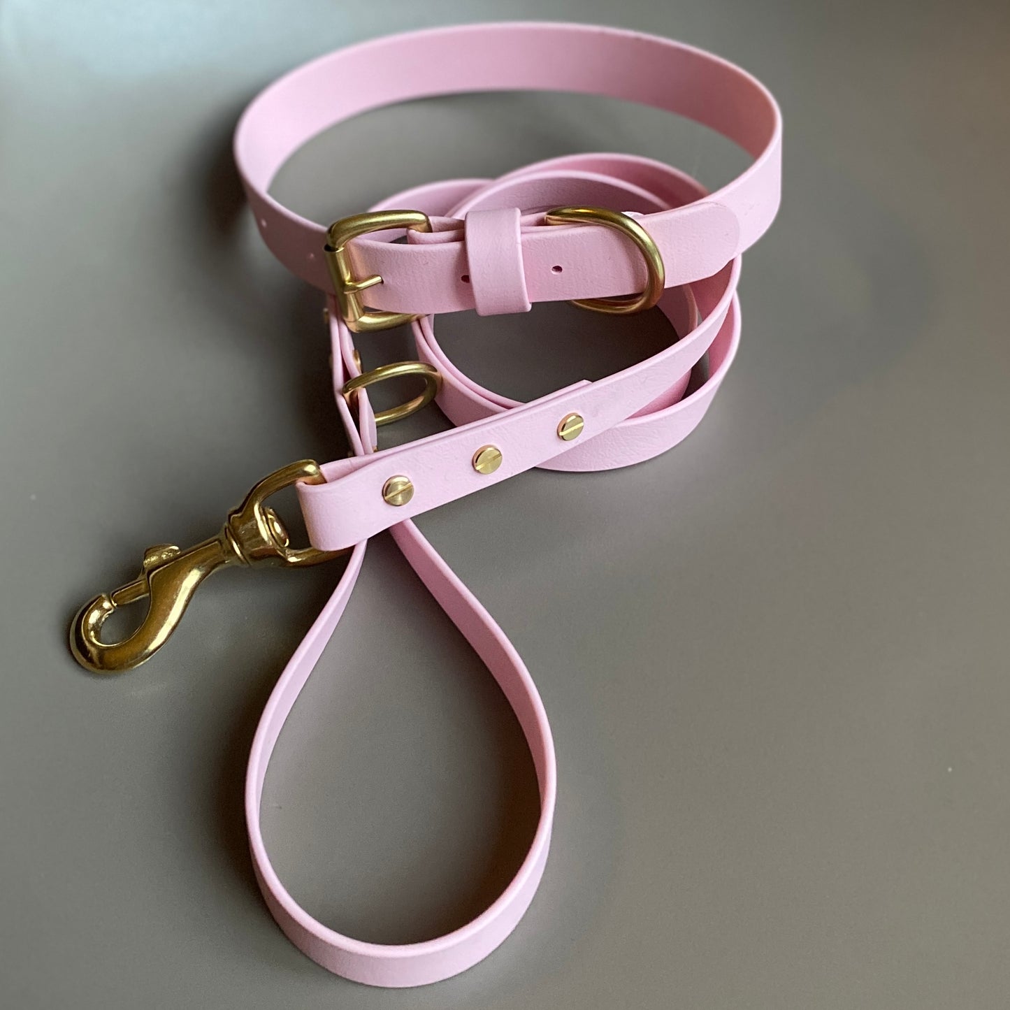 Pastel Pink BioThane® Lead