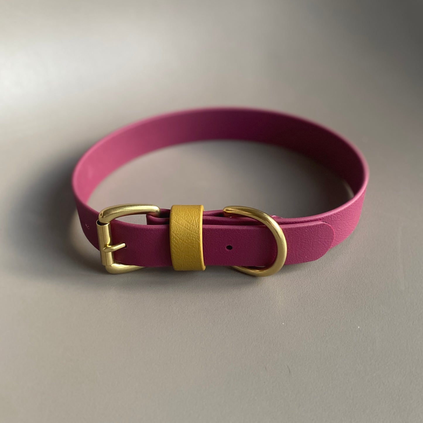 Carebear Colourblock BioThane® Collar