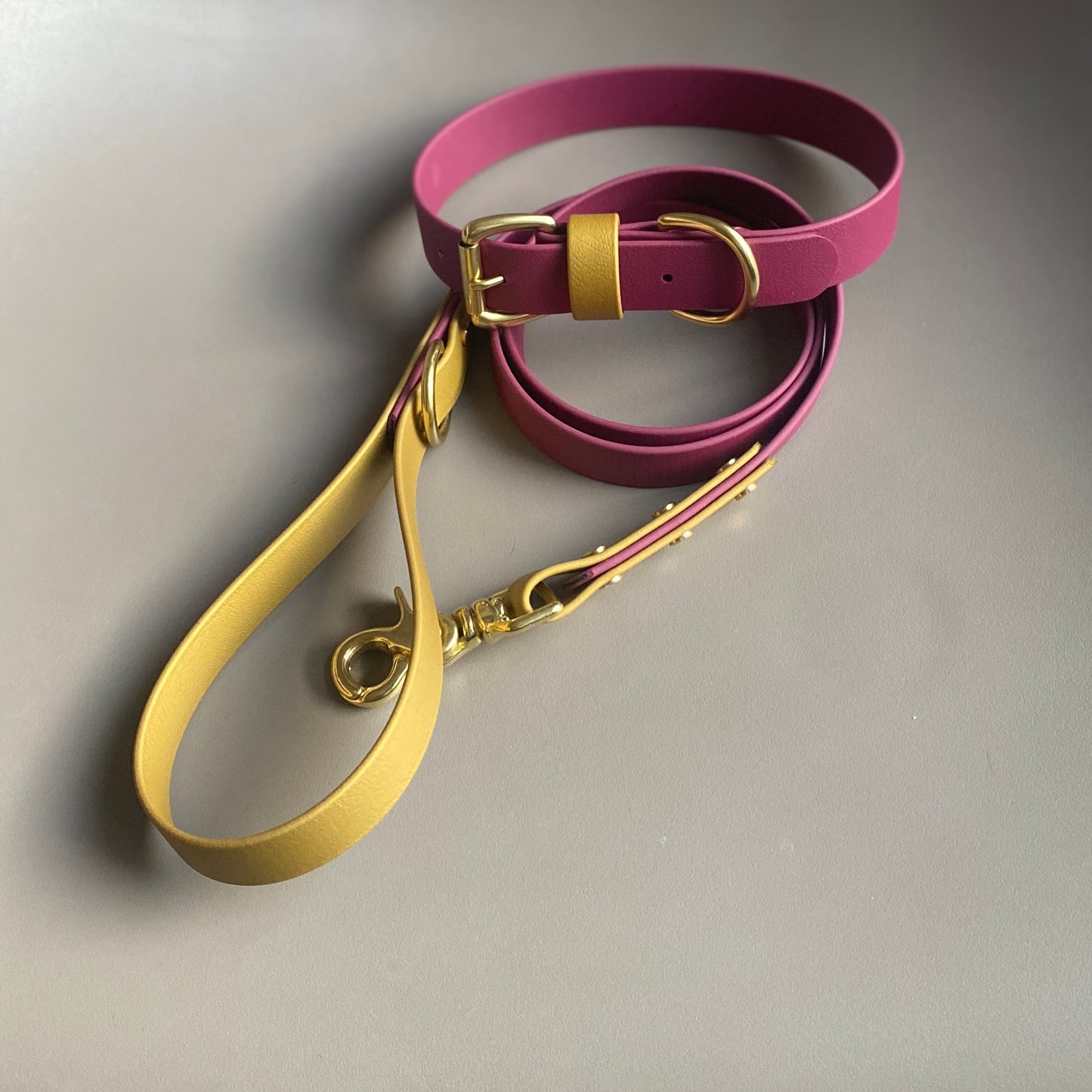 Carebear Colourblock BioThane® Collar