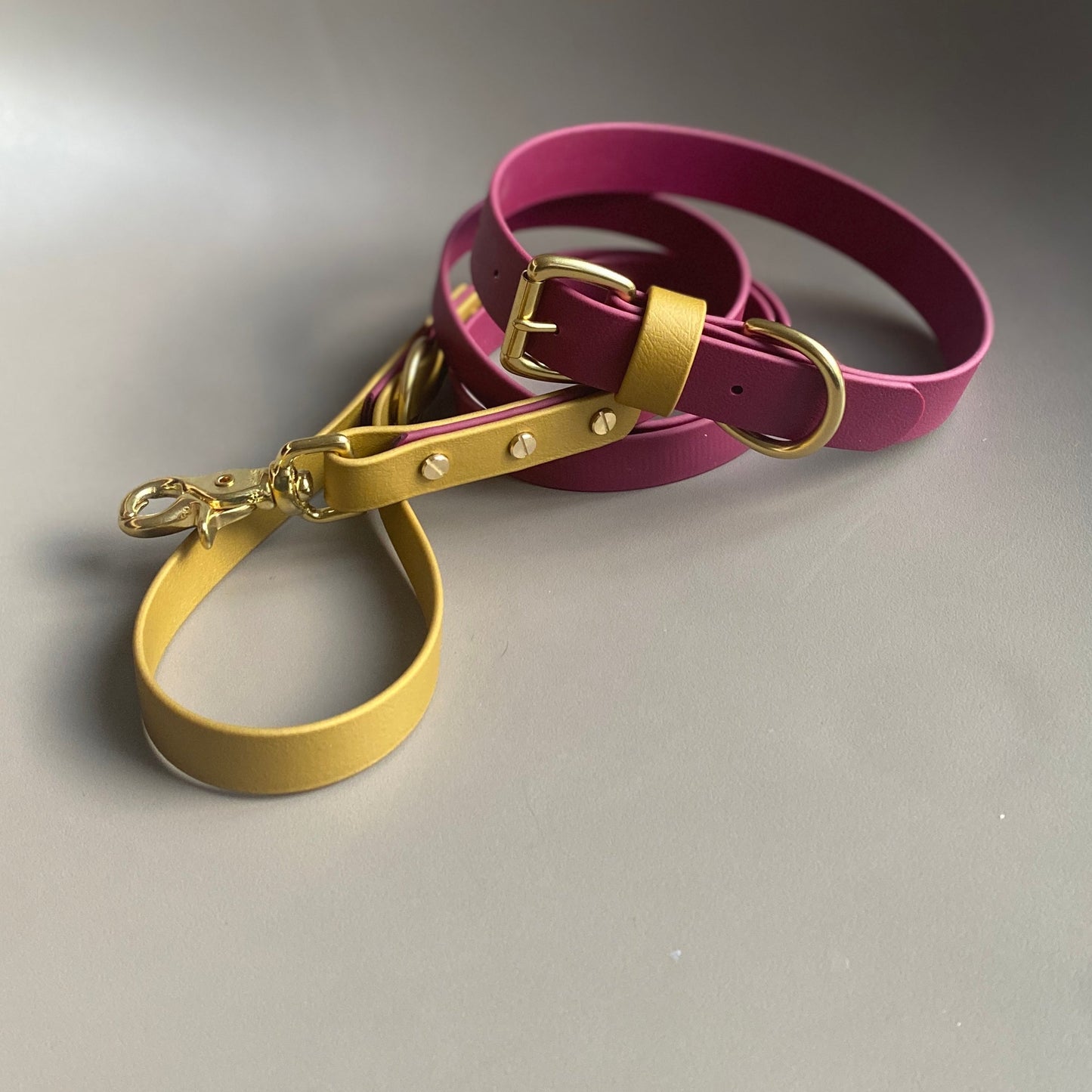 Carebear Colourblock BioThane® Collar
