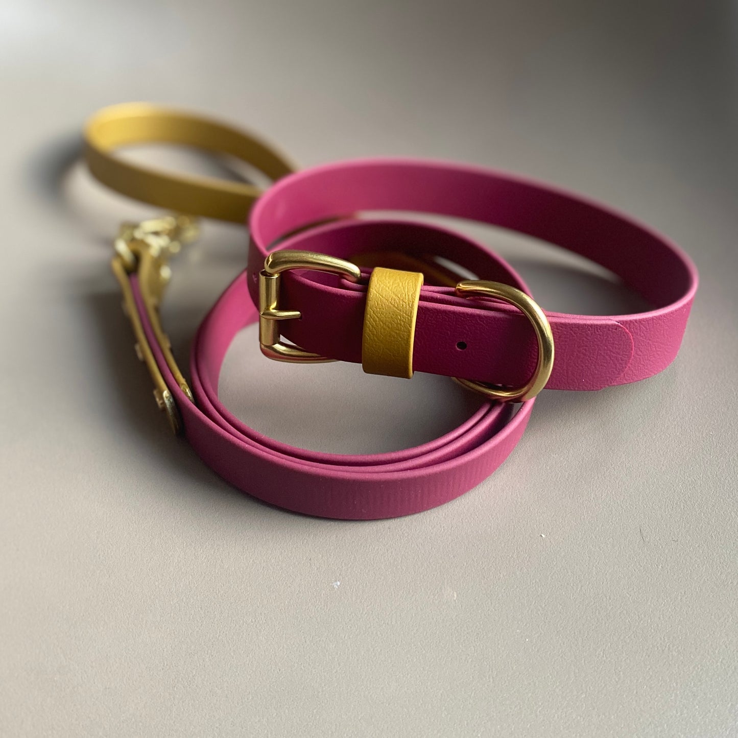 Carebear Colourblock BioThane® Collar