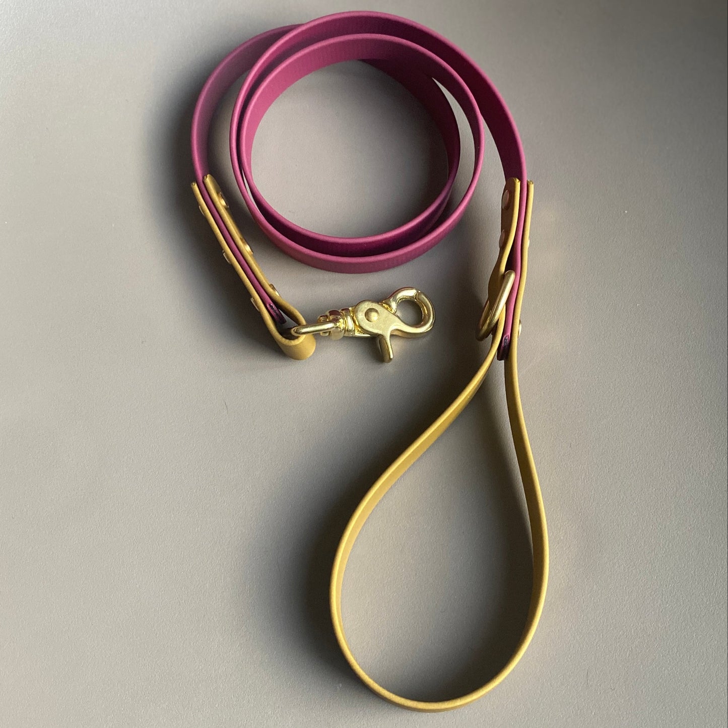 Carebear Colourblock BioThane® Lead