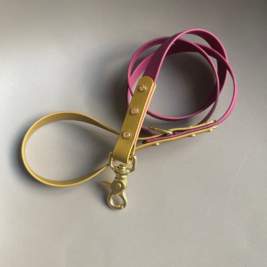 Carebear Colourblock BioThane® Lead