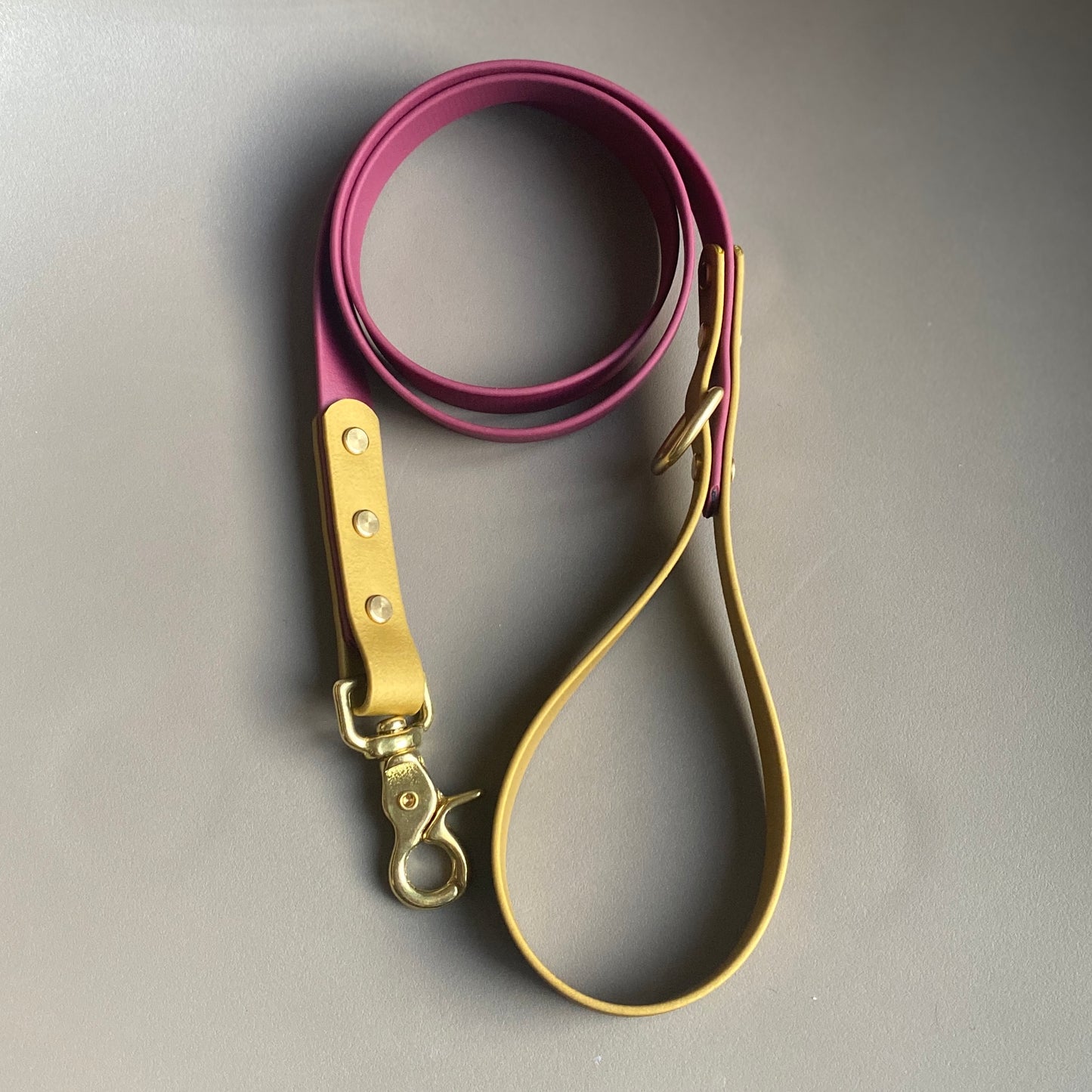 Carebear Colourblock BioThane® Lead