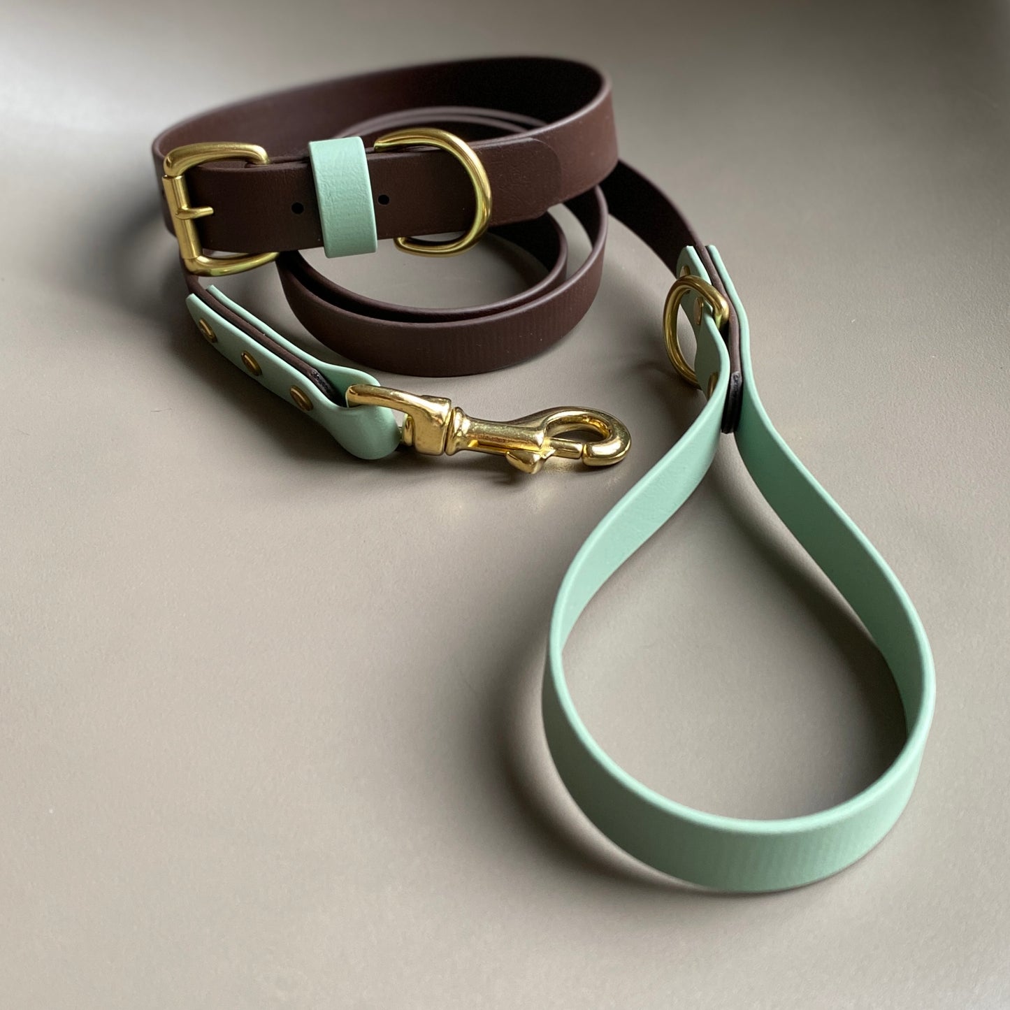 Ozzy Colourblock BioThane® Lead