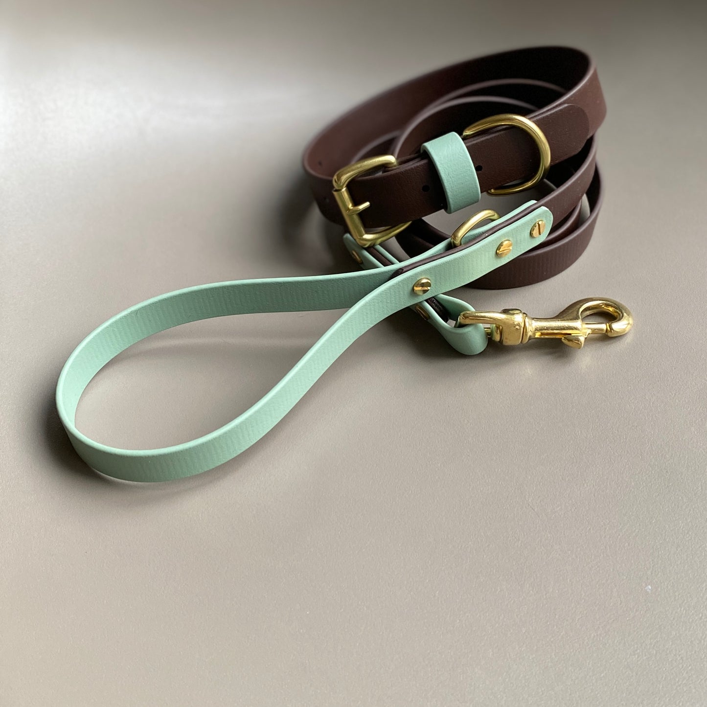 Ozzy Colourblock BioThane® Lead