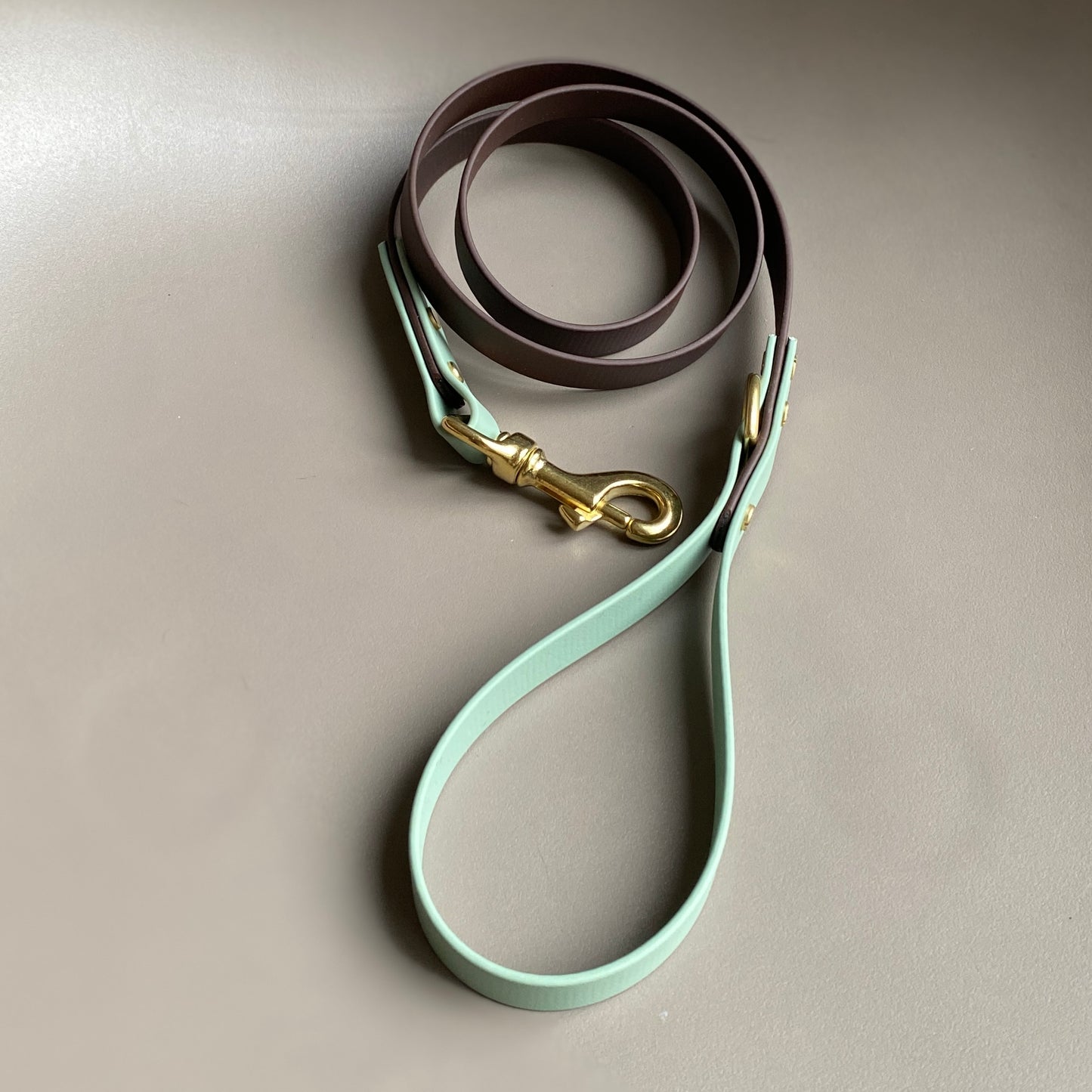 Ozzy Colourblock BioThane® Lead