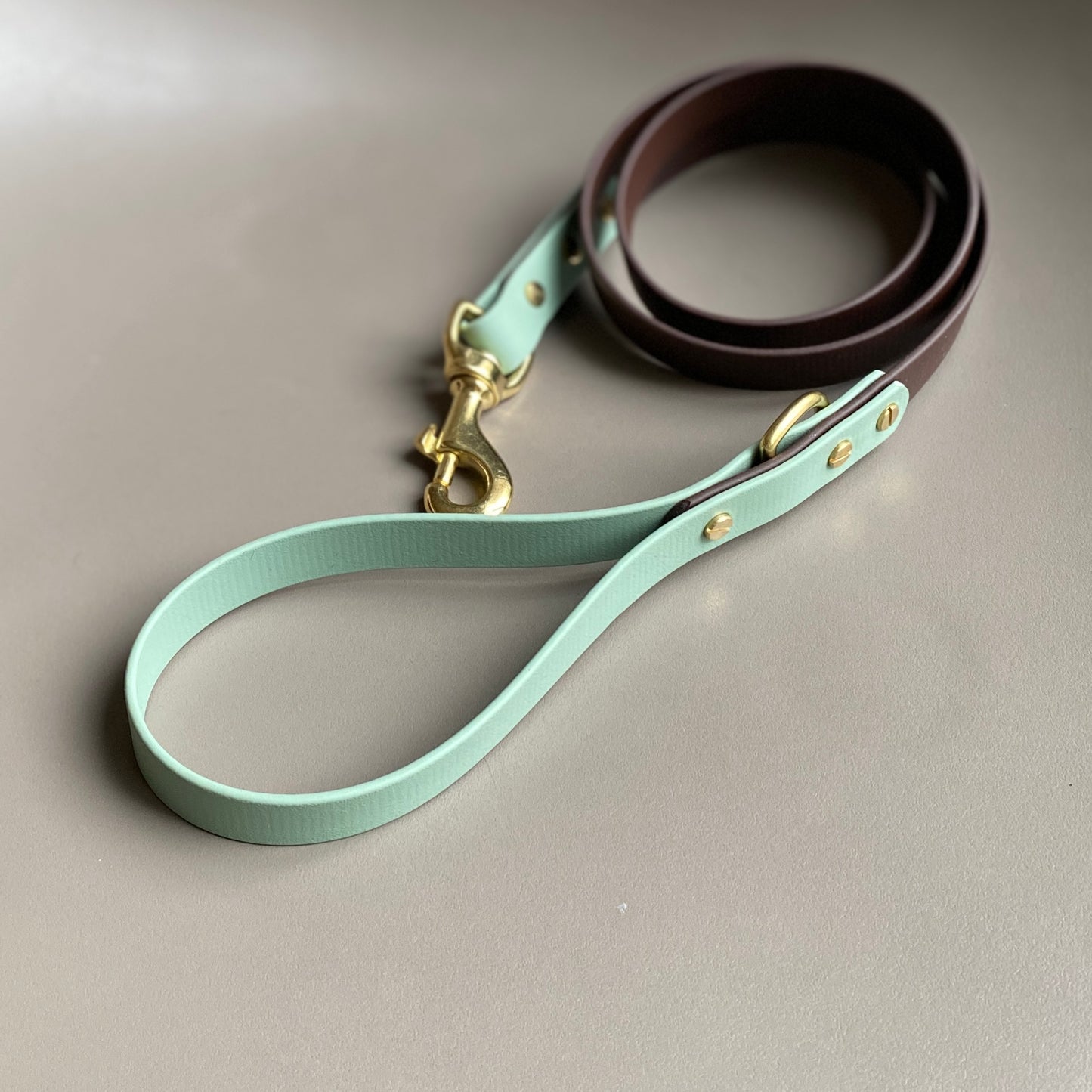 Ozzy Colourblock BioThane® Lead