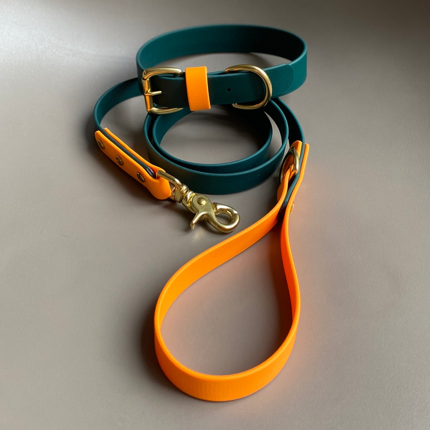 Snoopy Colourblock BioThane® Lead