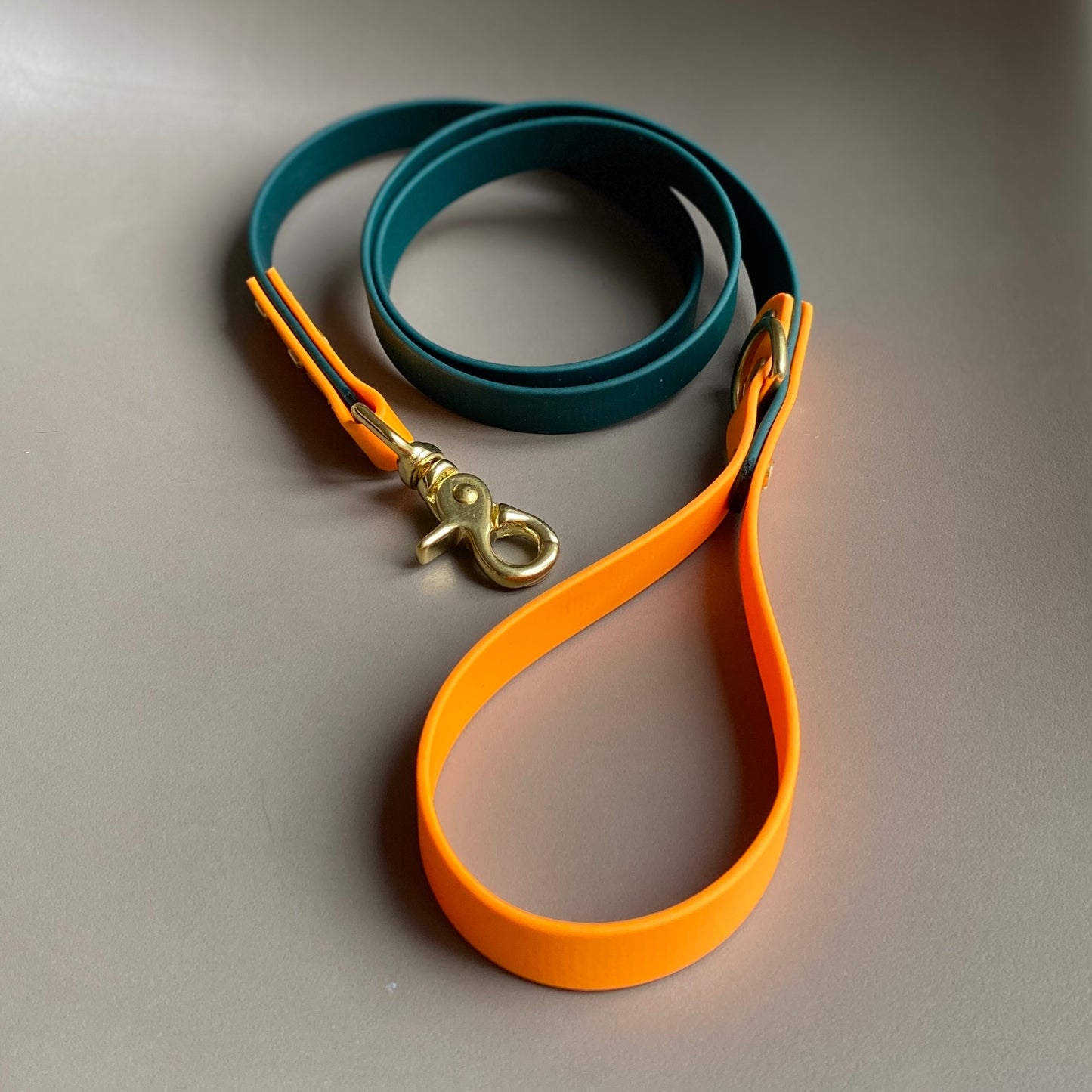 Snoopy Colourblock BioThane® Lead
