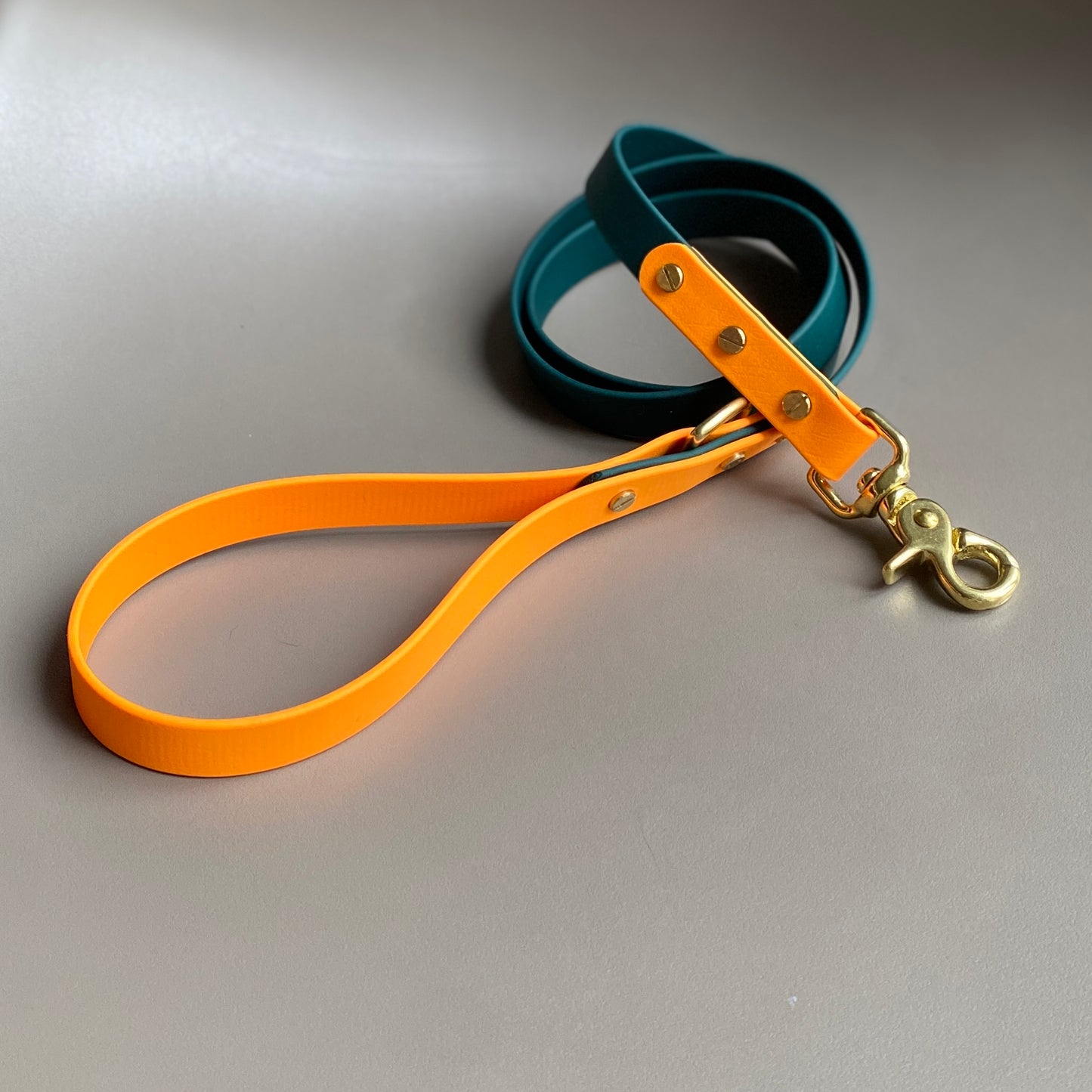 Snoopy Colourblock BioThane® Lead