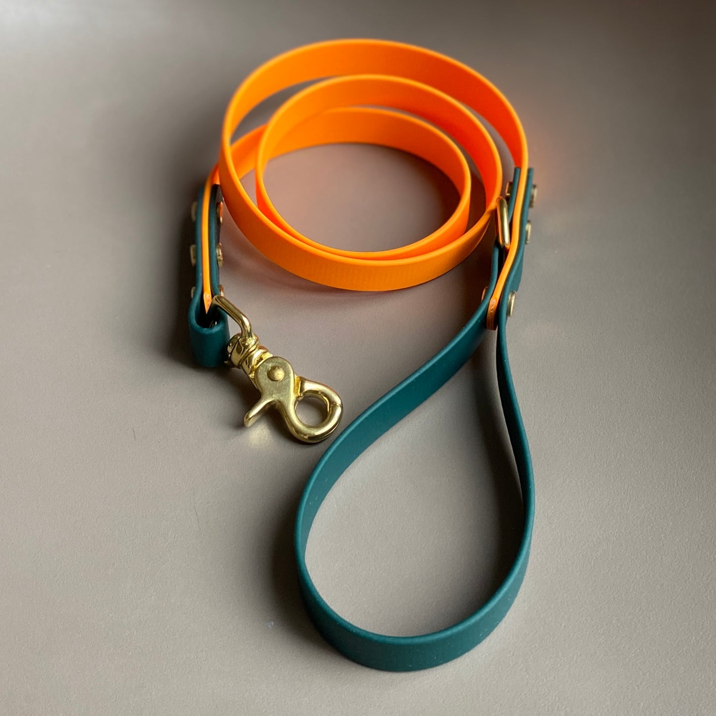 Dodger Colourblock BioThane® Lead