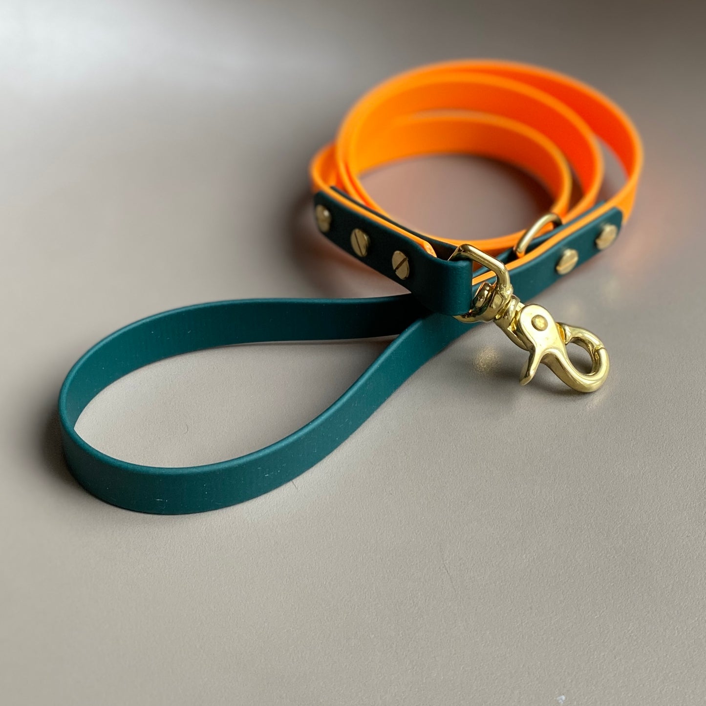 Dodger Colourblock BioThane® Lead