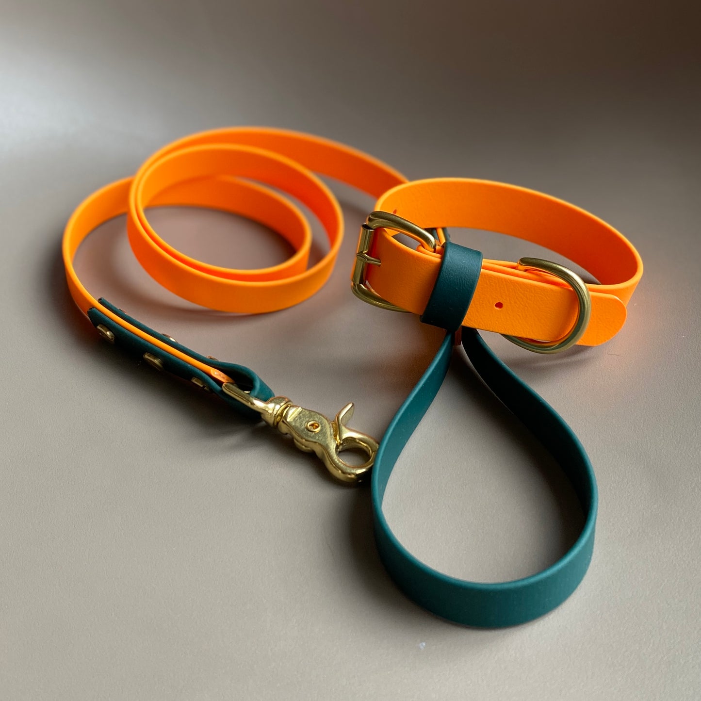 Dodger Colourblock BioThane® Lead