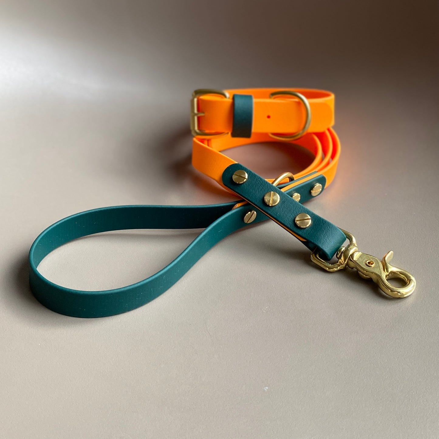 Dodger Colourblock BioThane® Lead