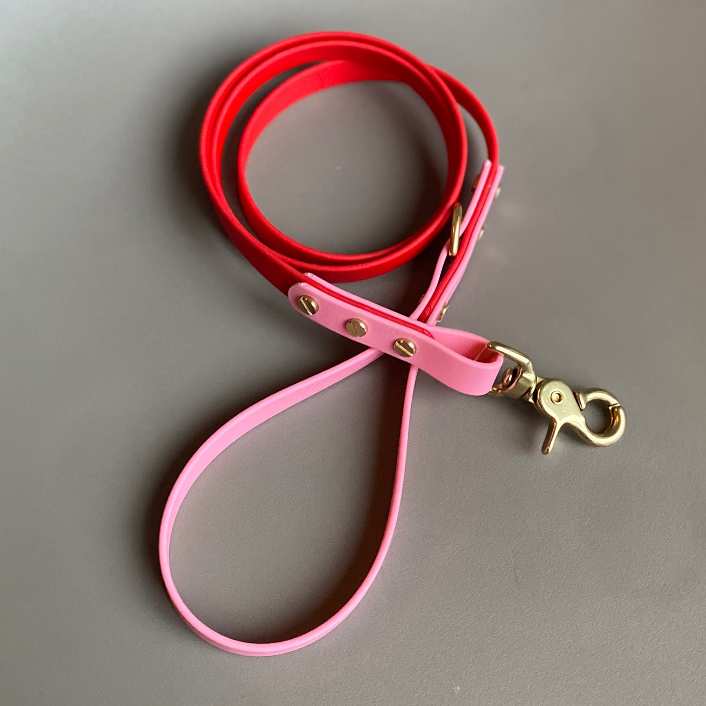 Love Colourblock BioThane® Lead