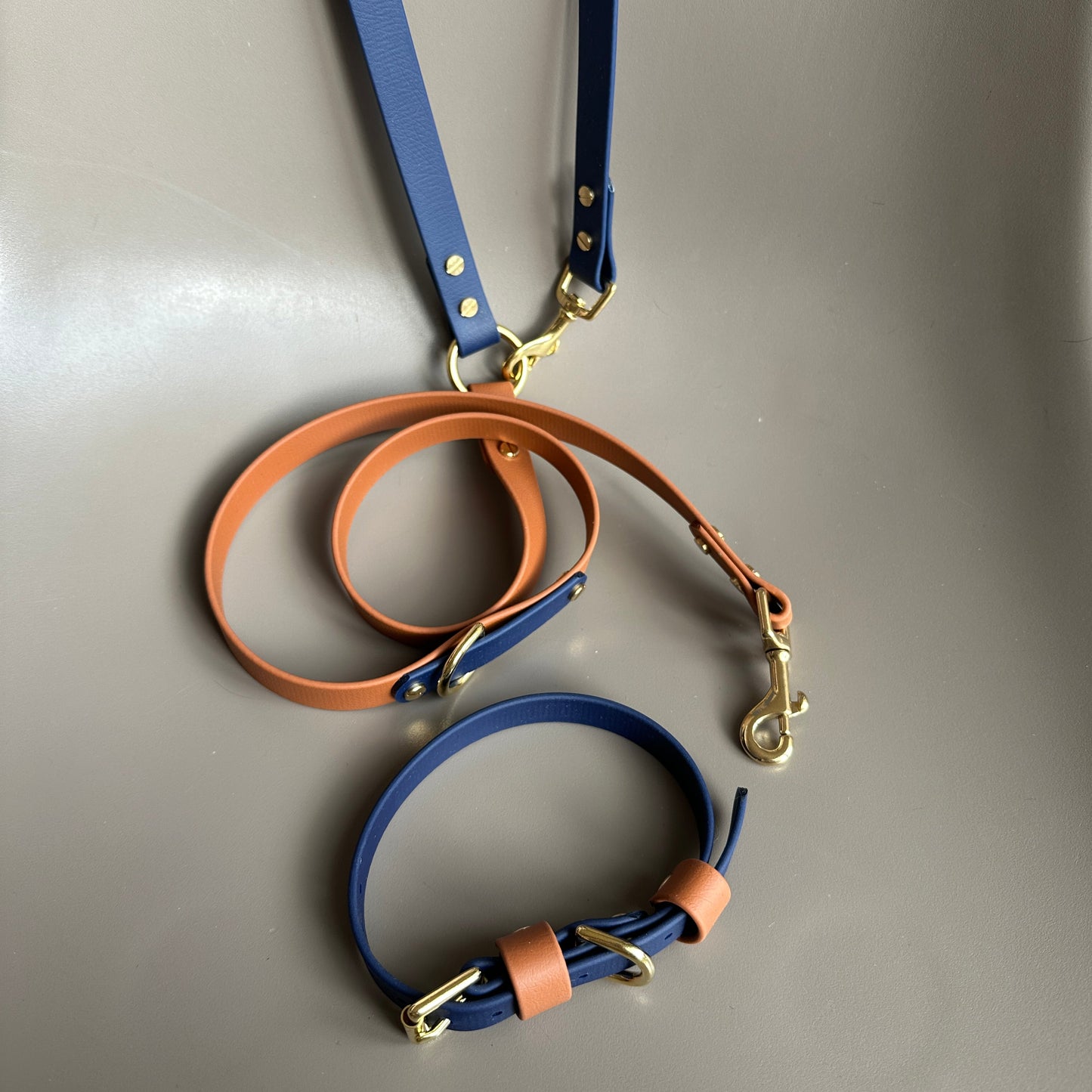 Buddy Crossbody Multiway BioThane® Lead