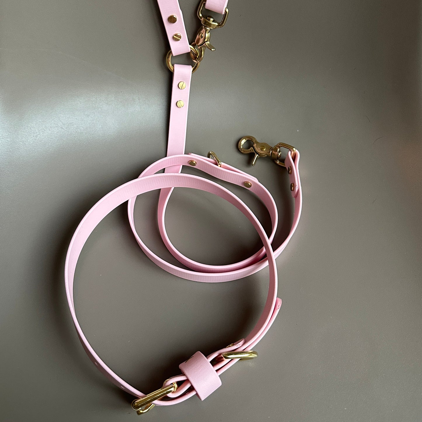 Crossbody Multiway BioThane® Lead