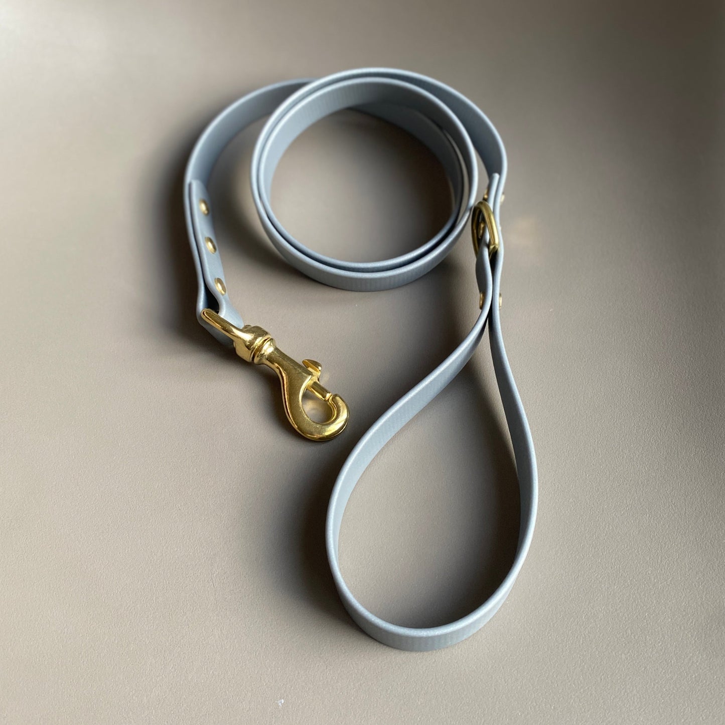 Silver BioThane® Lead