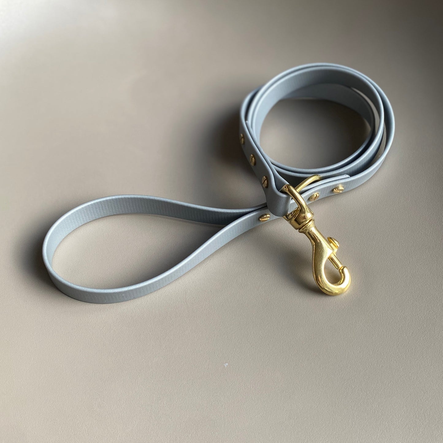 Silver BioThane® Lead