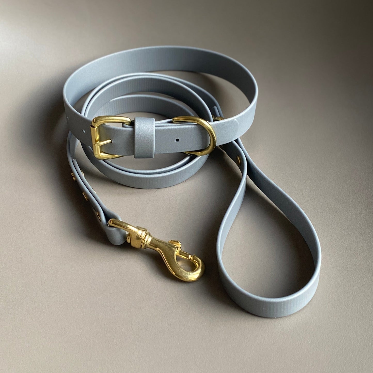 Silver BioThane® Lead