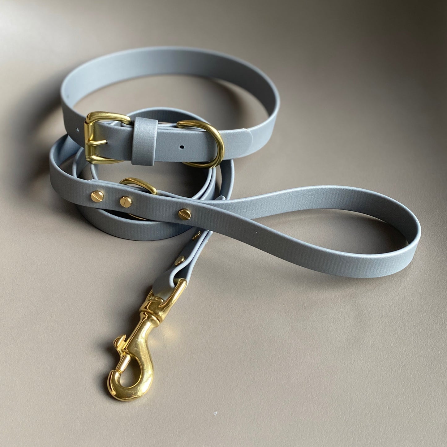 Silver BioThane® Lead