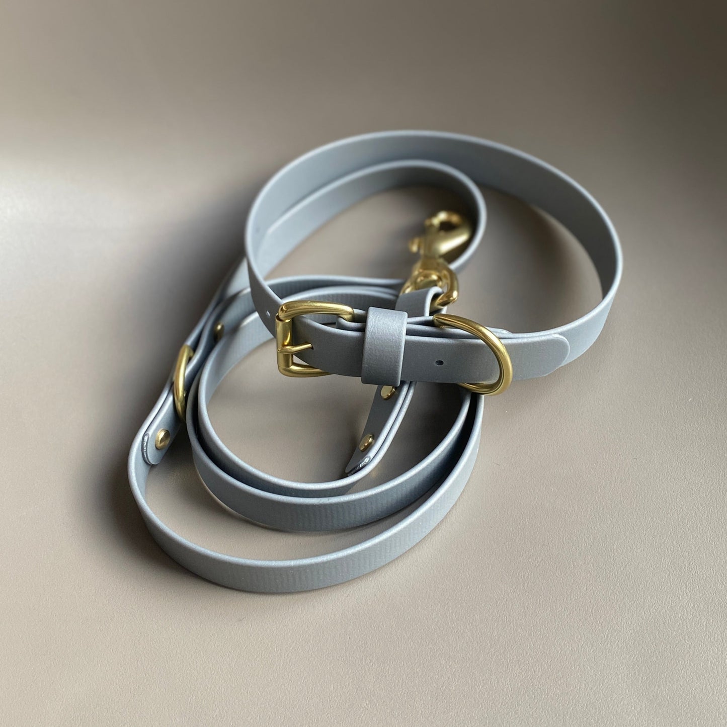 Silver BioThane® Lead