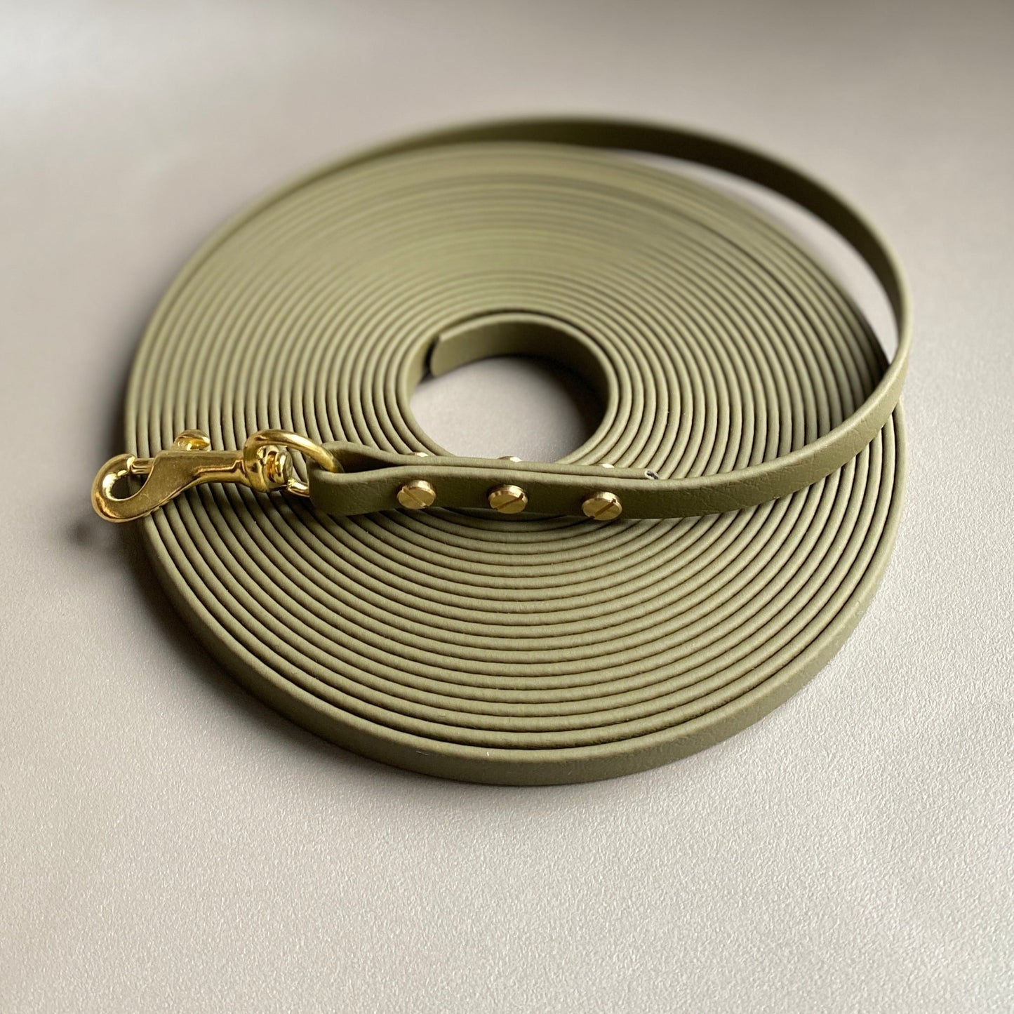 BioThane® 6 Metre Longline Lead