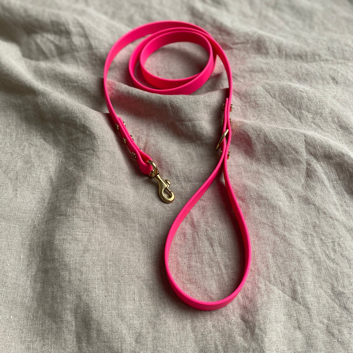 Neon Pink BioThane® Lead