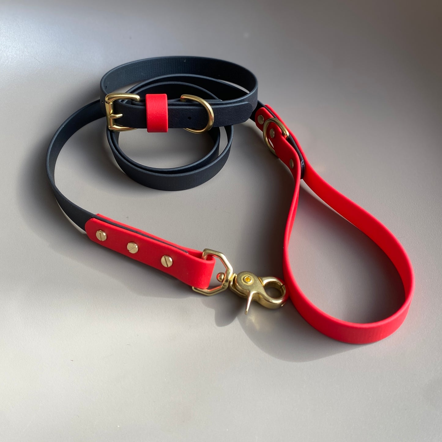 Enzo Colourblock BioThane® Lead