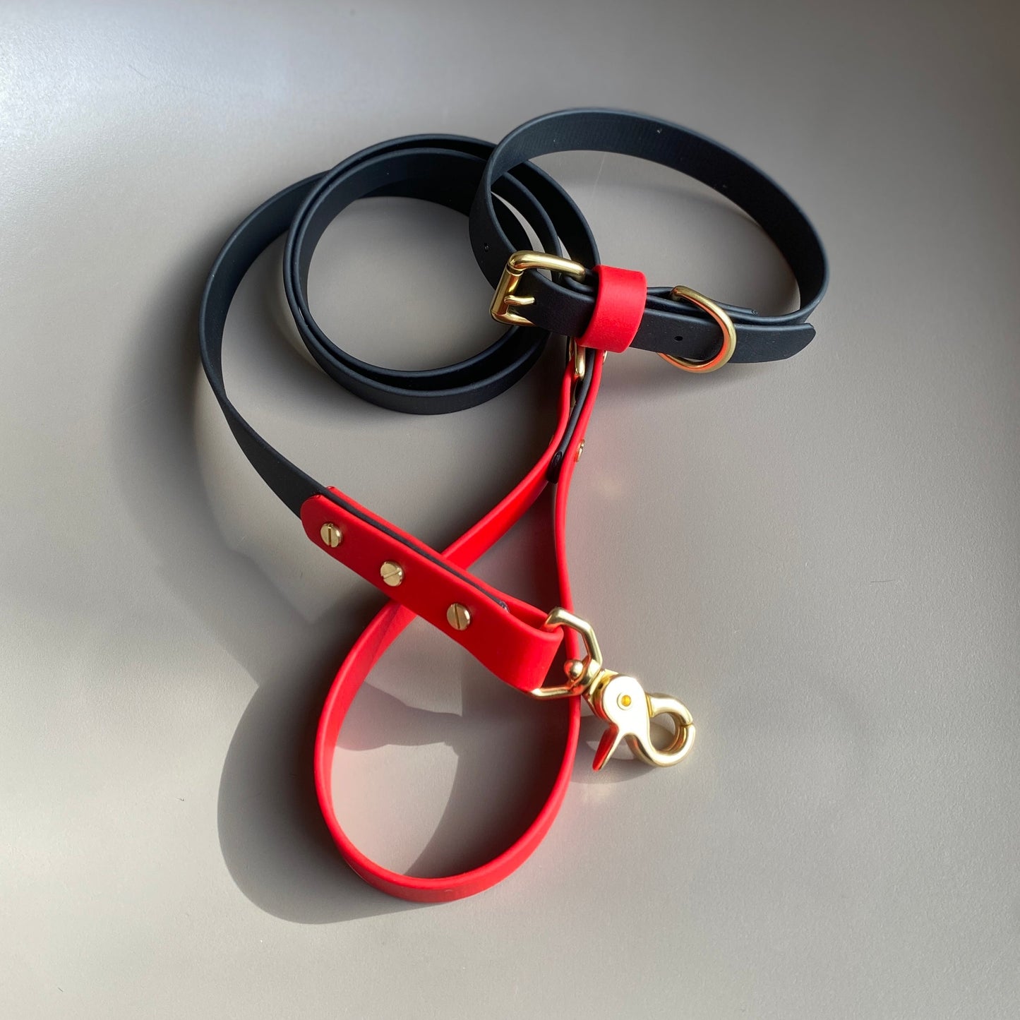 Enzo Colourblock BioThane® Lead