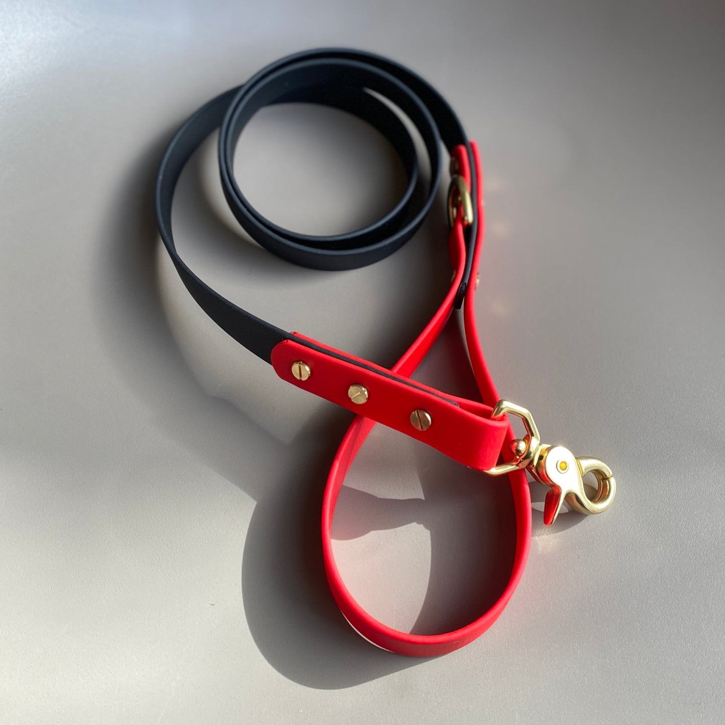 Enzo Colourblock BioThane® Lead