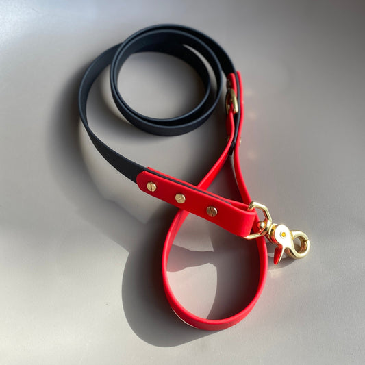 Enzo Colourblock BioThane® Lead