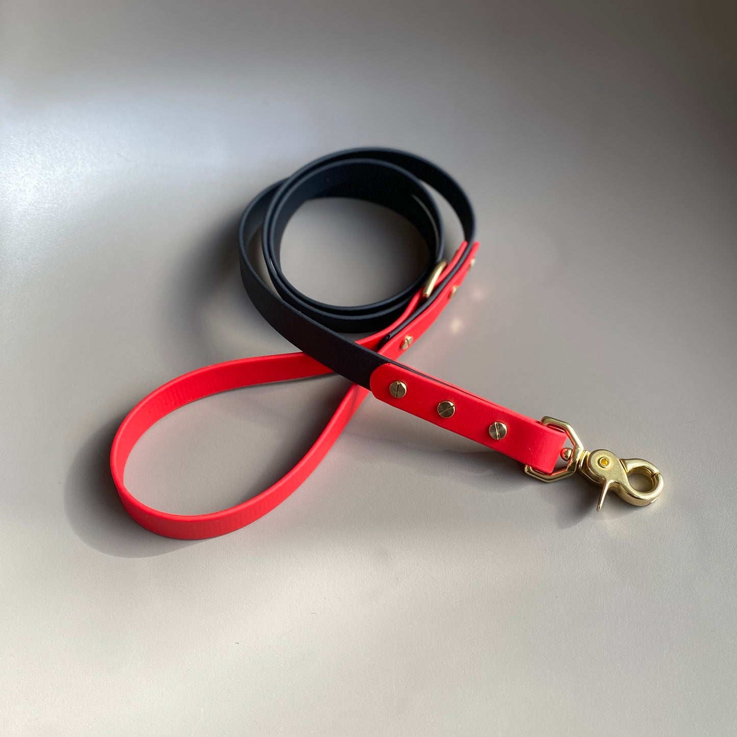 Enzo Colourblock BioThane® Lead