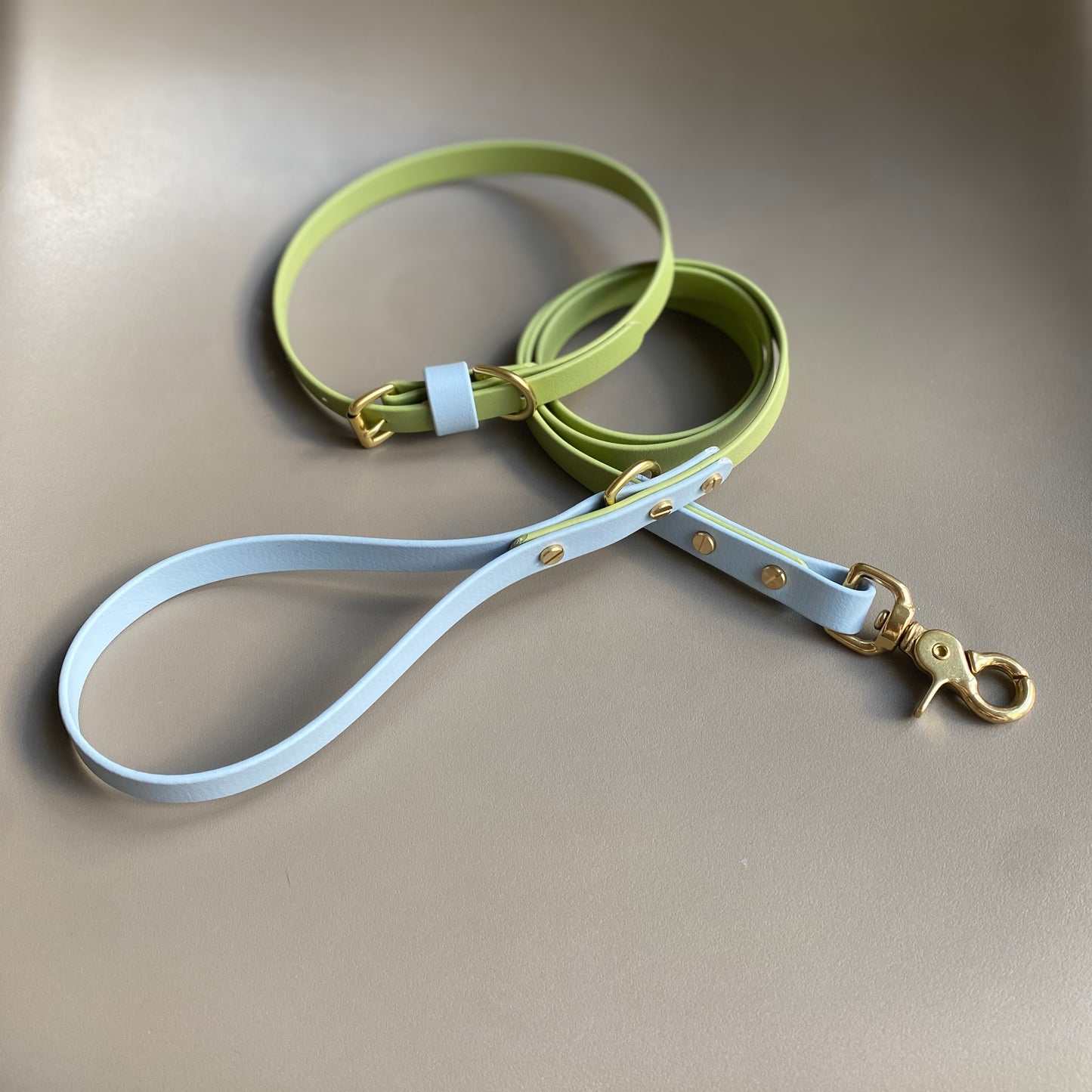 Arlo Colourblock BioThane® Lead