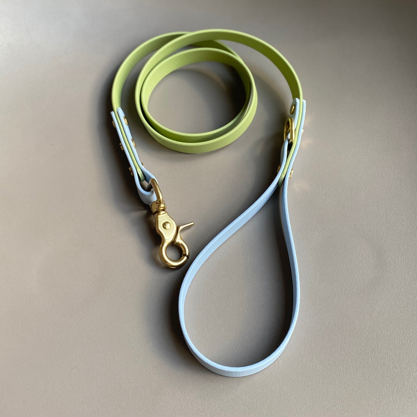 Arlo Colourblock BioThane® Lead