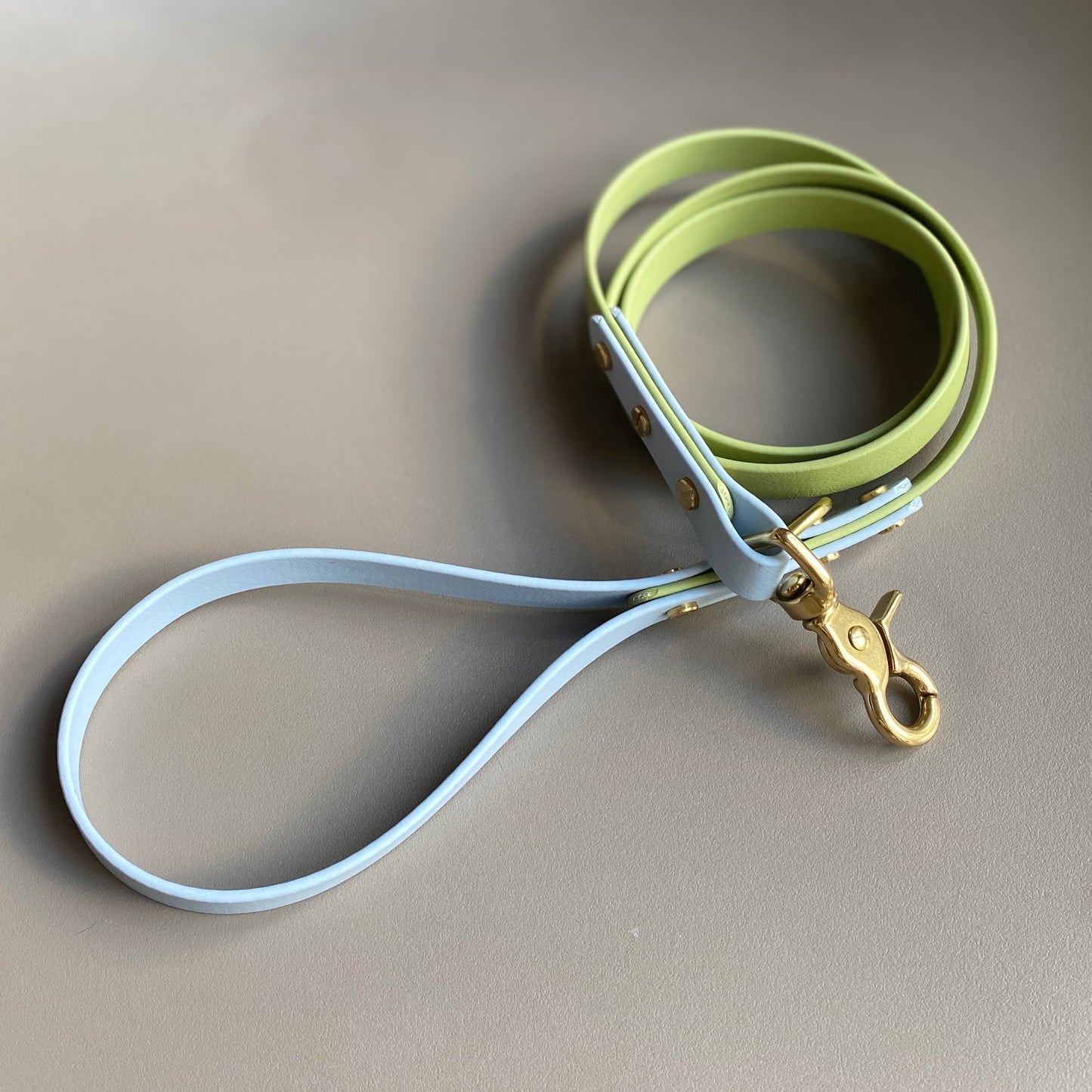 Arlo Colourblock BioThane® Lead