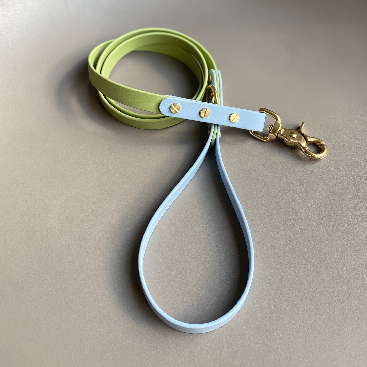 Arlo Colourblock BioThane® Lead