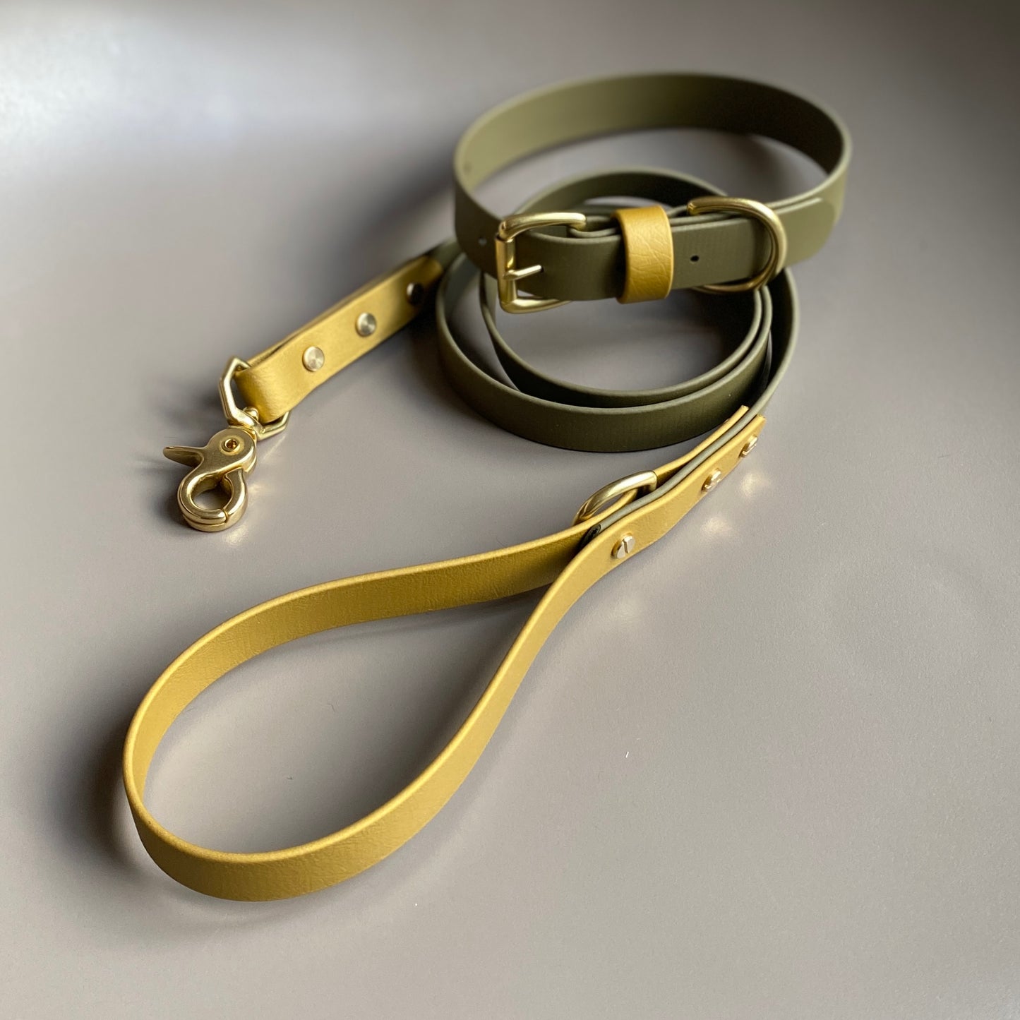 Alfie Colourblock BioThane® Lead