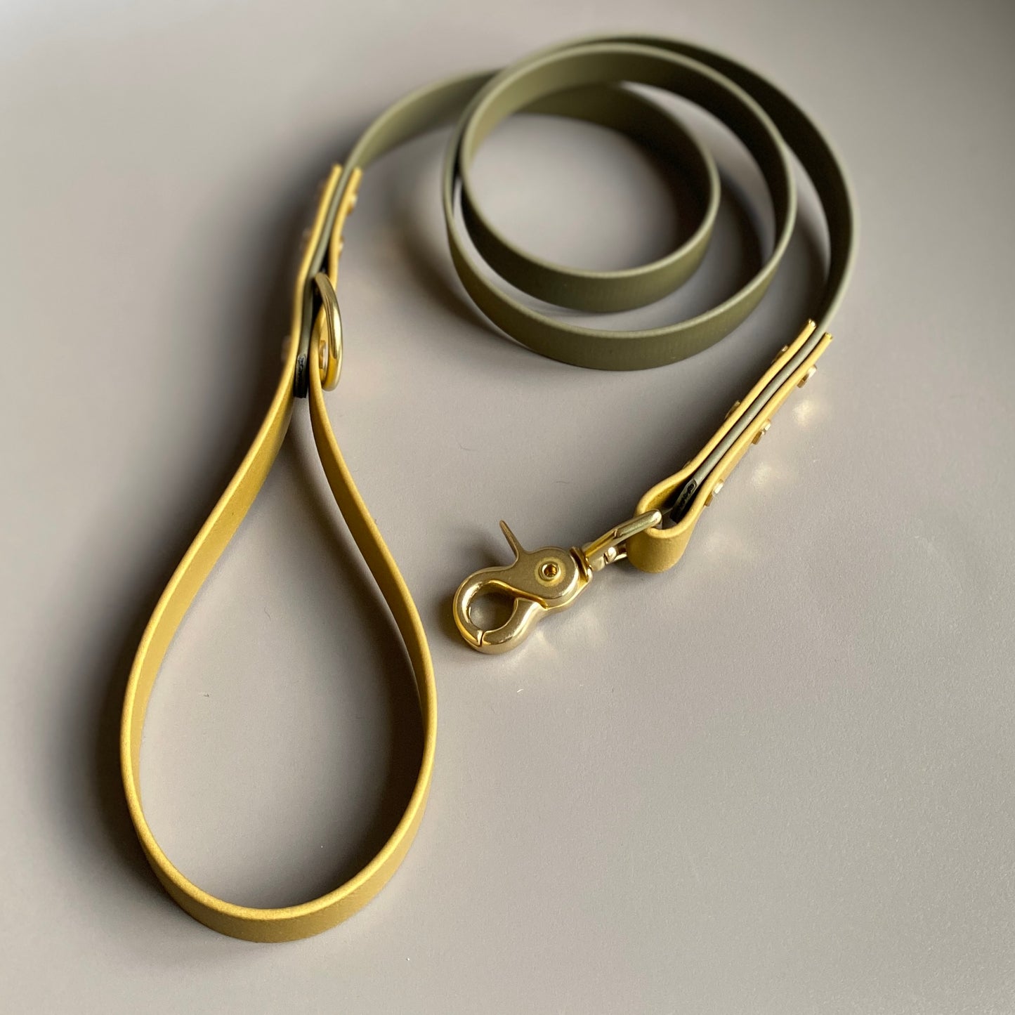 Alfie Colourblock BioThane® Lead