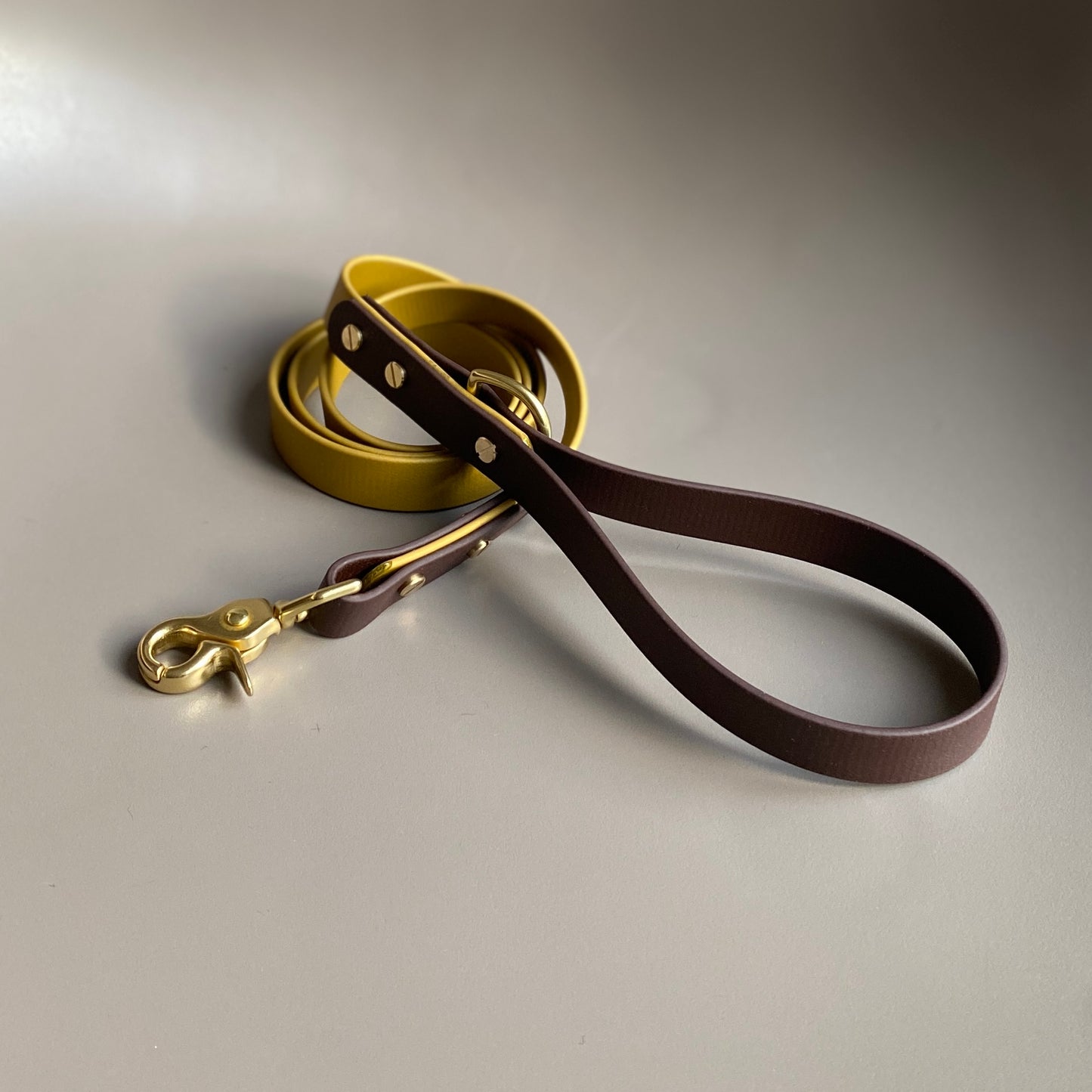 Gunner Colourblock BioThane® Lead