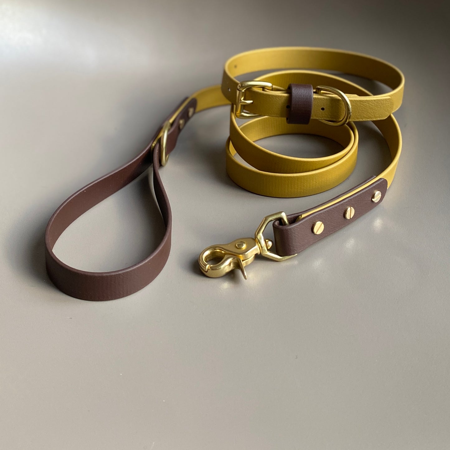 Gunner Colourblock BioThane® Lead