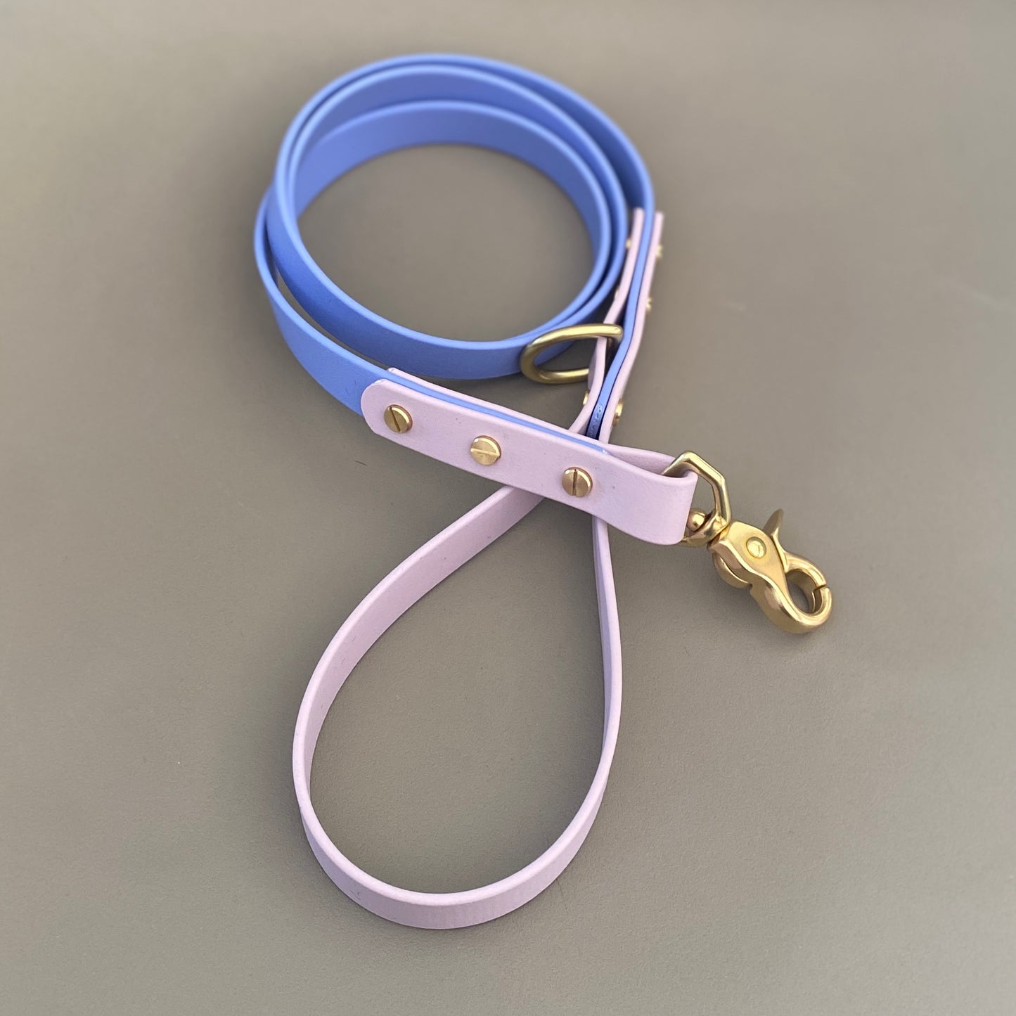 Shelby Colourblock BioThane® Lead