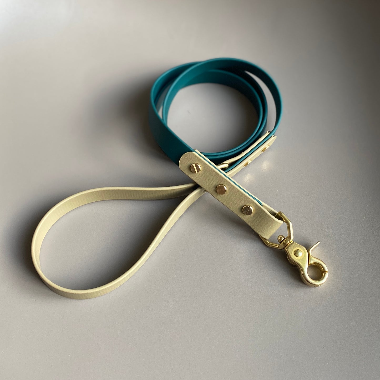 Nugget Colourblock BioThane® Lead