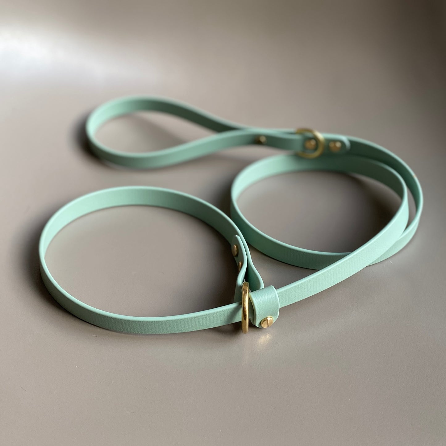 BioThane® 16mm Slip Lead