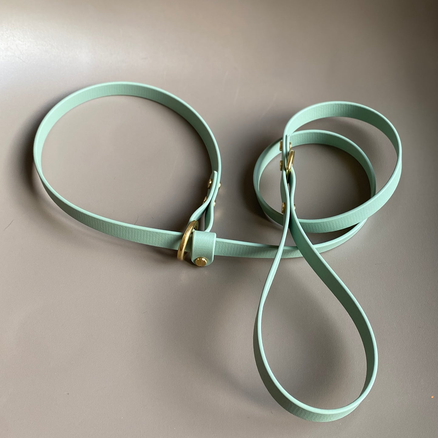 BioThane® 16mm Slip Lead