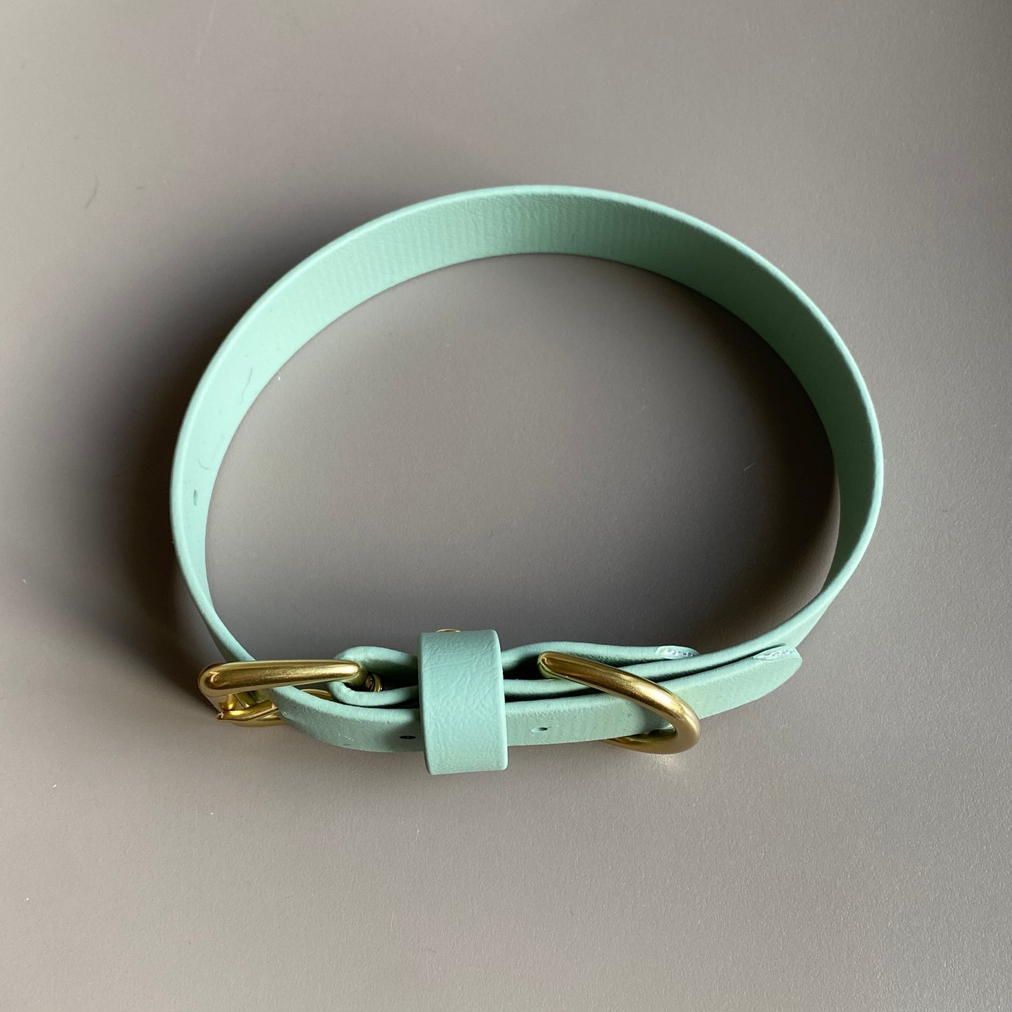 Sage Green BioThane® Collar